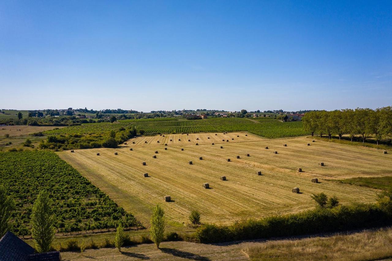 Shanti Lac Cabanes Gites Insolites Et Espace Bien-Etre Bordeaux Berson エクステリア 写真